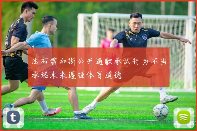 法布雷加斯公开道歉承认行为不当承诺未来遵循体育道德