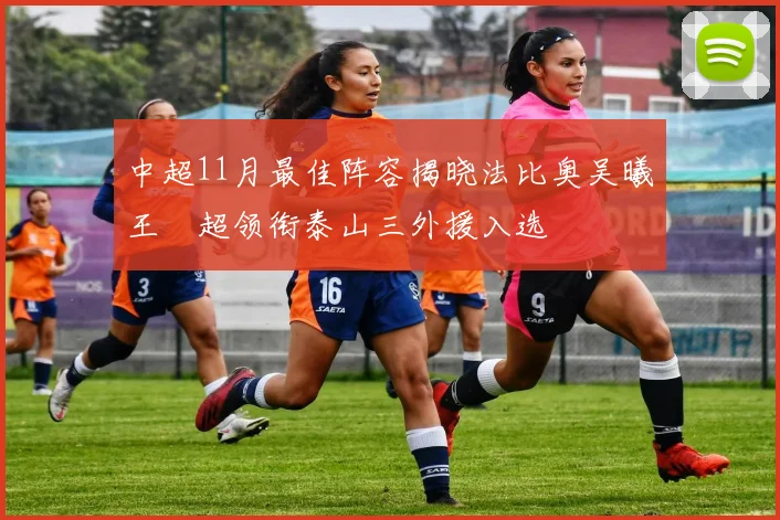 中超11月最佳阵容揭晓法比奥吴曦王燊超领衔泰山三外援入选