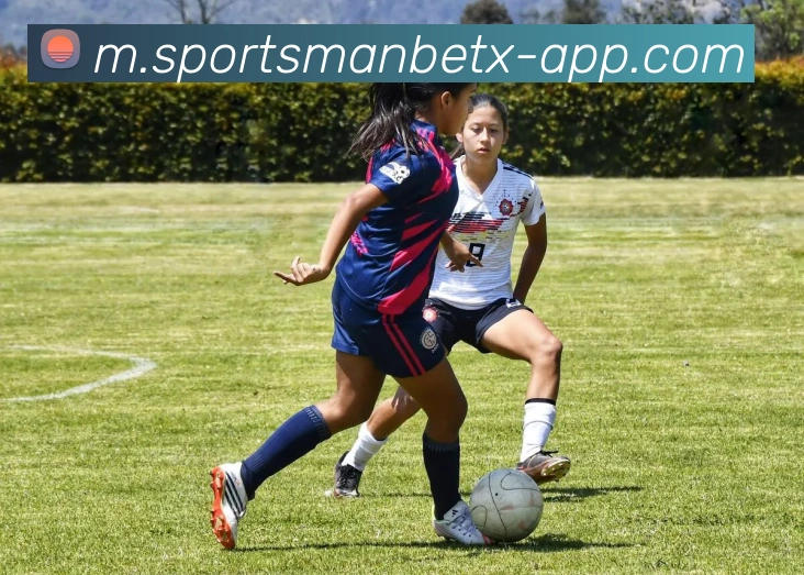 万博体育APP 高清赛事图